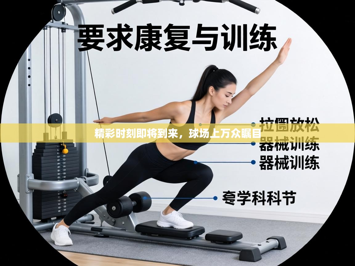 精彩时刻即将到来，球场上万众瞩目